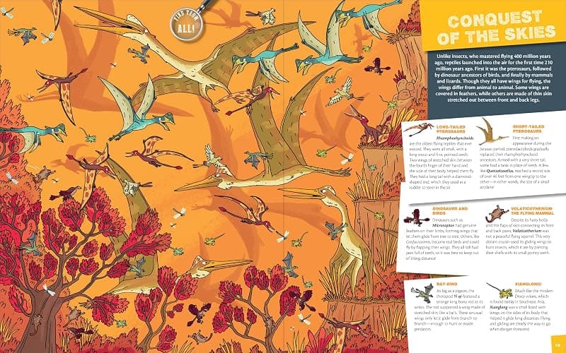 Seek & Find - Dinosaurs (Seek and Find) thumbnail 6