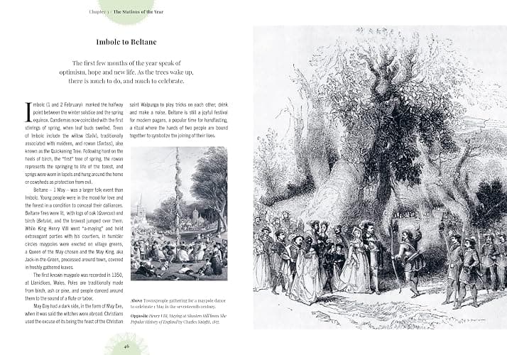Witch's Forest: Trees in magic, folklore and traditional remedies (Royal Botanic Gardens, Kew) thumbnail 2