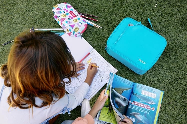PackIt Freezable Snack Bag, Fruit Toss | Built-in ice packs, EcoFreeze+ Technology, Fresh snacks to go, Mini cooler, Small lunches, Foldable, Reusable, Zip closure thumbnail 8
