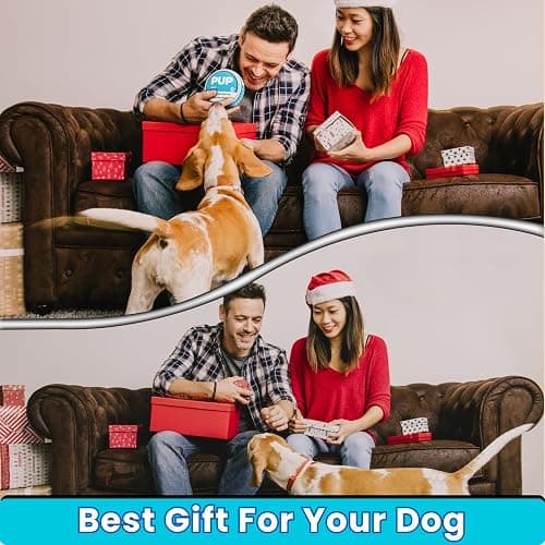 PUP Pouch Funny Parody Dog Toy | Plush Squeaky & Durable | Interactive Chew Toy for Small, Medium & Large Dogs | Upgraded Tough Fabric | Puppy Gift | Stuffed Novelty Crinkle Toy | Cool Pet Present thumbnail 7