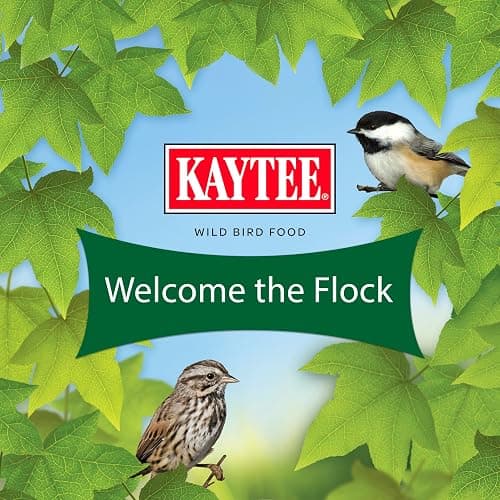 Kaytee Wild Bird Basic Seed, 10 lb - 10 Pound (Pack of 1) thumbnail 10