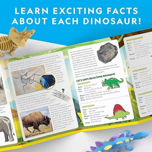 NATIONAL GEOGRAPHIC Clay Dinosaur Arts & Crafts Kit - Dinosaur Air Dry Clay for Kids with 5 Clay Colors, 5 Dino Skeletons & Googly Eyes, Dinosaur Activity for Girls and Boys Ages 4 5 6 7 8 9 & 10 thumbnail 5