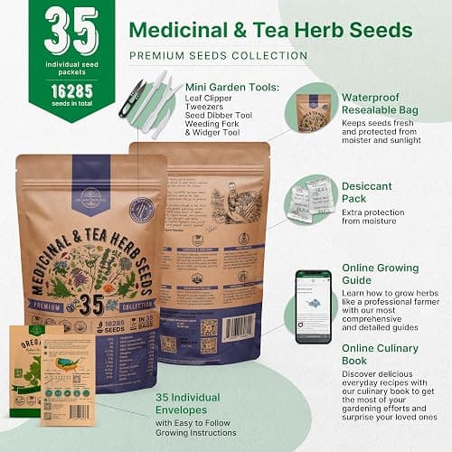 35 Medicinal & Tea Herb Seeds Variety Pack for Indoor & Outdoors. 16,335+ Non-GMO Heirloom Garden Seeds: Anise, Bergamot, Borage, Cilantro, Chamomile, Dandelion, Rosemary Seeds & More thumbnail 2