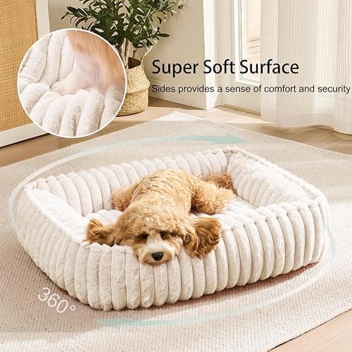 Jolifield Orthopedic Large Dog Bed Calming Pet Sofa Bed 36''x28'' Ivory | Rectangle Plush Orthopedic Dog Couch Large Sized Dogs,Anti-Anxiety, Nonskid Bottom, Washable Soft Puppy Cuddler Up To 50 Lbs thumbnail 4