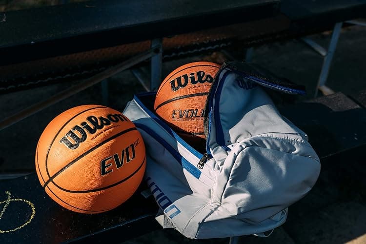 Wilson Evo NXT Indoor Game Basketball thumbnail 3
