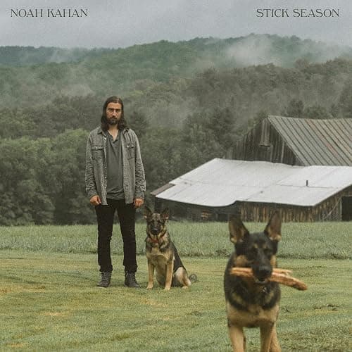 Stick Season[2 LP] - Image 1