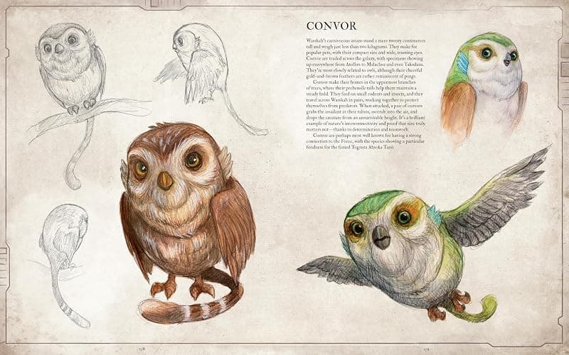 Star Wars Bestiary, Vol. 1 thumbnail 9
