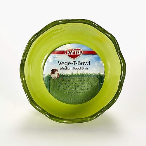 Kaytee Vege-T-Bowl Cabbage 6 inches, Green (Pack of 12) thumbnail 2