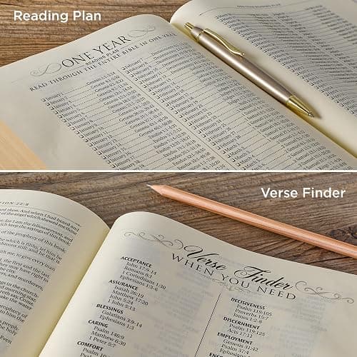 KJV Holy Bible, Note-taking Bible, Faux Leather Hardcover - King James Version, Brown/Pink (KJV Note-taking Editions) thumbnail 6