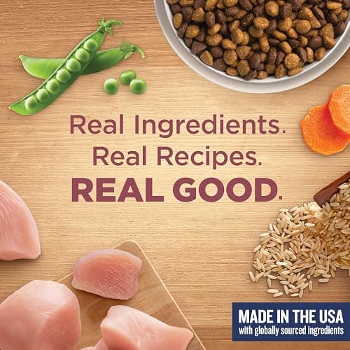 Nutrish Small Breed Dry Dog Food with Chicken, 5 lb. Bag (Rachael Ray) | Suitable for Small Adult Dogs, Veterinarian Reviewed Formula, Made with No Artificial Flavors thumbnail 7