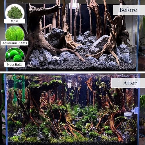 majoywoo Natural Large Driftwood for Aquarium Decor Reptile Decor, Fewer Branches 12.5-18" 2Pcs thumbnail 6