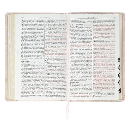 KJV Holy Bible, Deluxe Gift Bible with Thumb Tabs, Ribbon Marker, King James Version, Faux Leather, Pink thumbnail 10