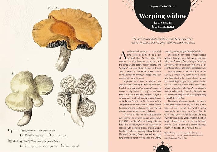 Kew - The Magic of Mushrooms: Fungi in folklore, superstition and traditional medicine (Royal Botanic Gardens, Kew) thumbnail 17