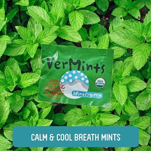 VerMints Organic Breath Mints Wintergreen - Real Ingredients, Lasting Refresh - Travel Size Candies - Non-GMO, Vegan, Nut Free, Gluten Free & Kosher Organic Flavored Candy Mints - 100 Packets thumbnail 4