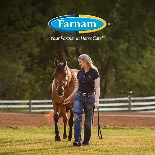 Farnam Endure Roll-On Fly Repellent for Horses, for Sensitive Areas, 3 Ounces thumbnail 7