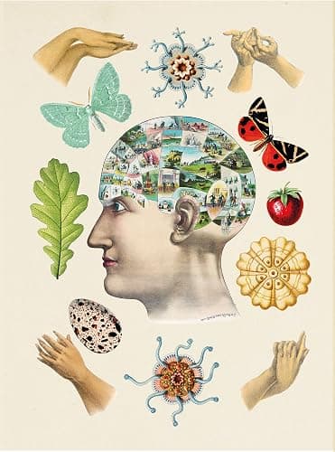 The Antiquarian Sticker Book: Over 1,000 Exquisite Victorian Stickers thumbnail 6