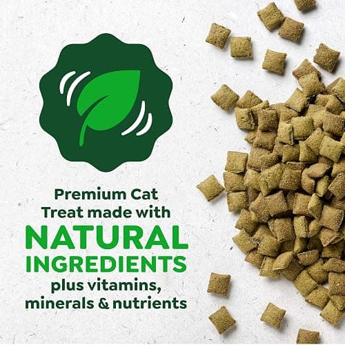 Greenies Feline Smartbites Healthy Kitten Treats for Indoor Kittens, Crunchy and Soft Natural Cat Treats, Chicken Flavor, 16 oz. Tub thumbnail 4