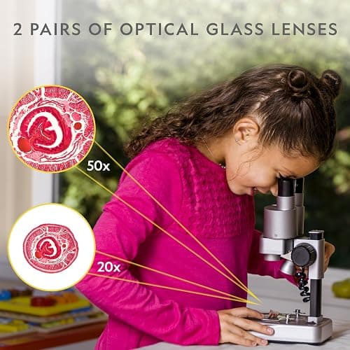 NATIONAL GEOGRAPHIC Dual LED Kids Microscope - 50+ pc Science Kit with 10 Prepared Slides & 10 DIY Blank Slides, Biology Experiment Activity, Microscope Kit for Kids 8-12 (Amazon Exclusive) thumbnail 6
