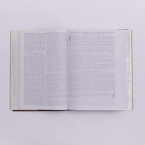 The Orthodox Study Bible, Hardcover: Ancient Christianity Speaks to Today's World thumbnail 3