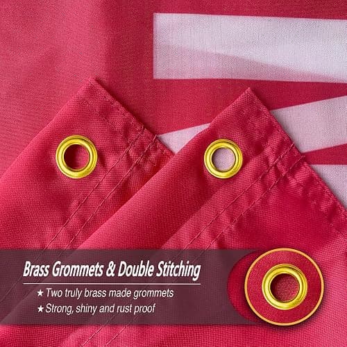 Momma Aint Raise No Bitch Flag 3x5 Ft Funny Pink Man Cave Wall Flag for Room Teen Girls Indoor Bedroom and College Dorm Wall Decor Banner Tapestry Gifts thumbnail 7