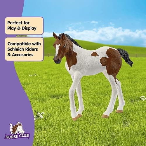 Schleich HORSE CLUB - Paint Horse Foal - 3" Hand-Painted Collectable, Realistic Toy Horse Figurine for Girls and Boys. Durable Educational Figure for Fun Imaginative Play. Cool Kids Toys Ages 5+ 14899 thumbnail 4