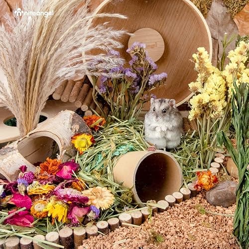 Niteangel Natural & Soft Hamster Bedding for Syrian Dwarf Hamsters Gerbils Mice Degus Bunny or Other Small-Sized Pet (Flowers Scent Path) thumbnail 5