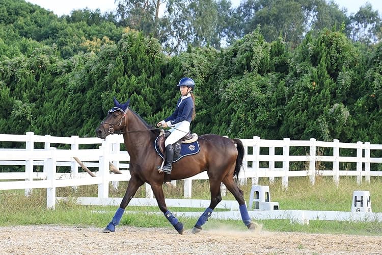 T TEKE Close Contact Saddle Pads,100% Cotton English Saddle Pads for Horses with Moisture-Wicking and Breathable Lining thumbnail 4