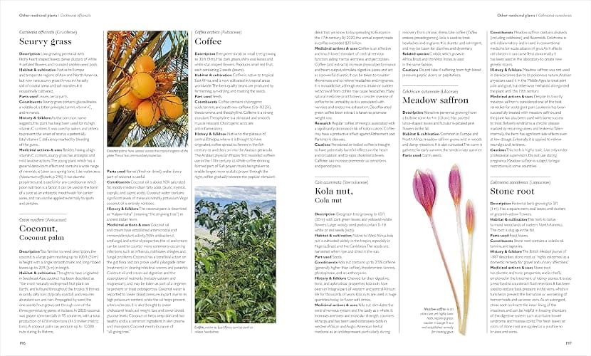 Encyclopedia of Herbal Medicine New Edition: 560 Herbs and Remedies for Common Ailments thumbnail 7
