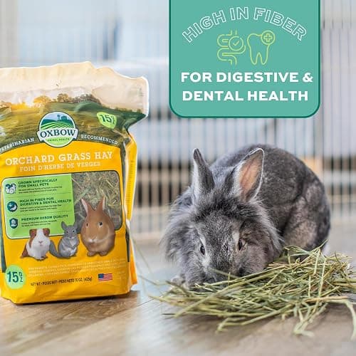 Oxbow Animal Health Orchard Grass, Guinea Pig Hay, Rabbit Hay, Small Pet Bunny Supplies, All Natural Grass for Guinea Pig, Bunny, Chinchilla & Hamster, Oxbow Rabbit Supplies for Bunnies, 9 lb. box thumbnail 13