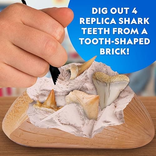 National Geographic Shark Tooth Dig Kit – Excavate Replica Teeth Fossils from Ancient Sharks and Make a Shark-Tooth Necklace, STEM Science Kit for Kids Ages 6-8, Educational Fossil Dig Activity thumbnail 2