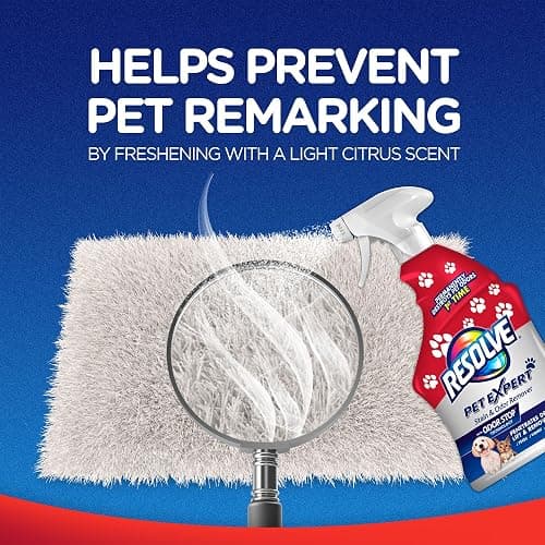 Resolve Pet Expert Stain and Odor Remover, Carpet Cleaner, Pet Stain and Odor Remover, Carpet & Upholstery Cleaner - Removes Stains and Odors, 22 oz thumbnail 5