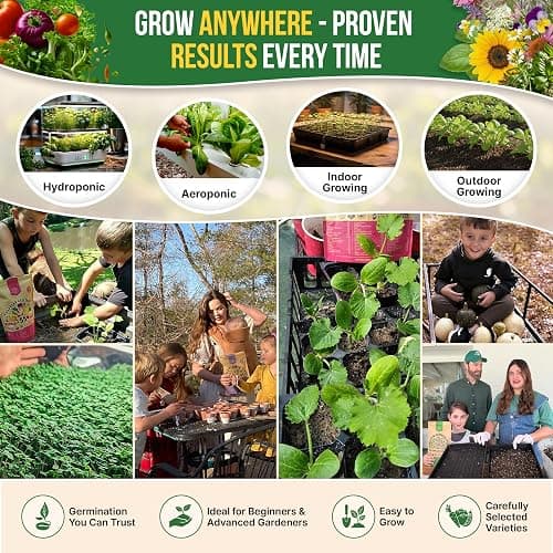 75 Medicinal & Tea Herb Seeds Variety Pack, Garden Seed Starter Kit - Over 47,380 Non-GMO Heirloom Seeds for Planting Herbs and Vegetables, Seed Box with Gardening Supplies, Gardening Gifts thumbnail 7