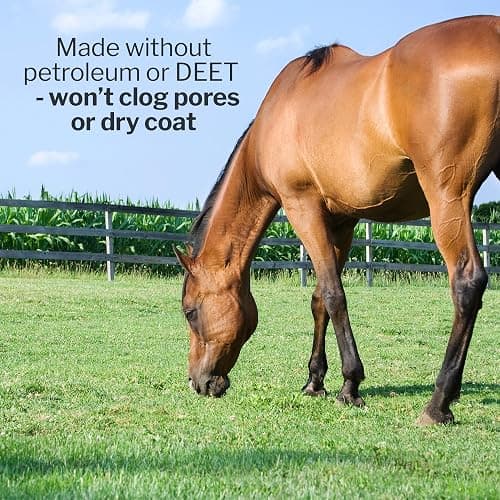 Formula 707 Fly Deny Spray for Horses & Ponies, 32 oz – 14-Day Protection thumbnail 4