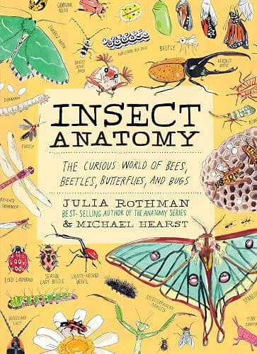 Insect Anatomy: The Curious World of Bees, Beetles, Butterflies, and Bugs - Paperback - Image 1