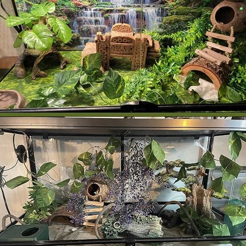 MUYG Crested Gecko Coconut Hut with Ladder,Bearded Dragon Coco Den Reptile Shell Hideout Husk Hut Climbing Plants Leaves Tank Accessories for Lizard Chameleon Snakes thumbnail 5