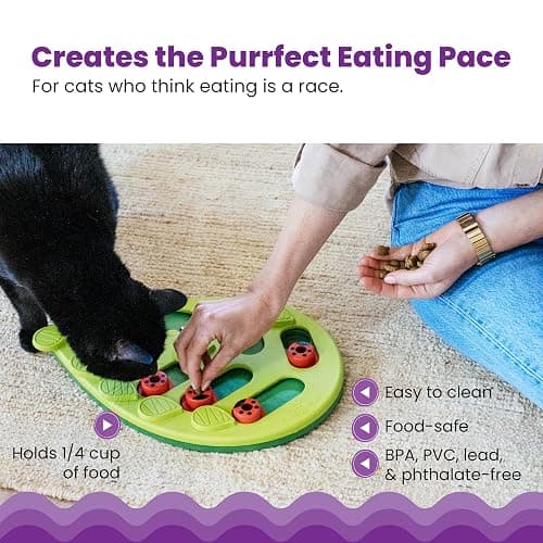 Puzzle for cats thumbnail 4