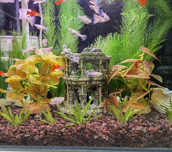 M2cbridge Plastic Fish Tank Plants Soft Silk Water Grass Reptile Waterweed for Terrarium Simulate Aquatic and Aquarium Landscape(2pcs,8") thumbnail 5