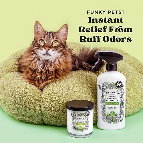 Pet-Pourri Smell Ya Litter Cat Litter Deodorizer Spray, Purrfectly Bamboo 3.4 Fl Oz, Up to 170 Uses, Pet Odor Remover with Essential Oils for Air, Carpet, Urine, Vet Recommended, Bergamot Bamboo Scent thumbnail 2