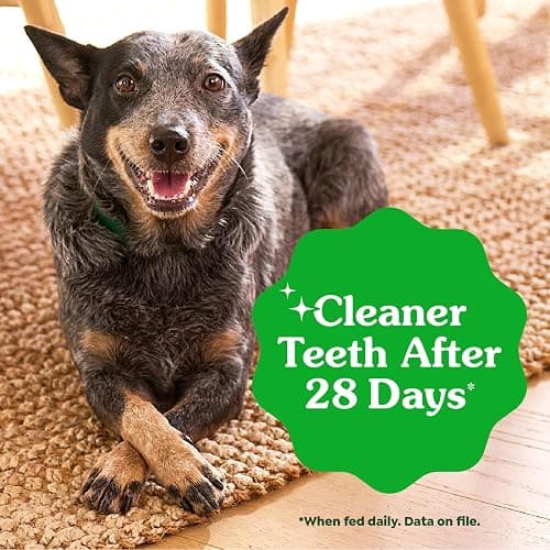 Greenies Veterinarian-Recommended Adult Natural Dental Dog Treats Large Size, Dog Dental Chews, Original Flavor, 54 oz. Pack, 34 Count thumbnail 4