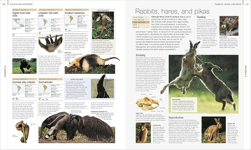 Animal: The Definitive Visual Guide (DK Definitive Visual Encyclopedias) thumbnail 4