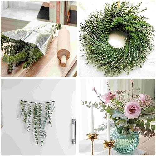 10 Pcs Dried Preserved Eucalyptus for Shower ,17" Real Natural Fresh Hanging Eucalyptus Stems,Real Leaves Branches for Vase Filler,Bathroom,Wedding,Dried Flowers Arrangement Decor - Green-10pcs thumbnail 6
