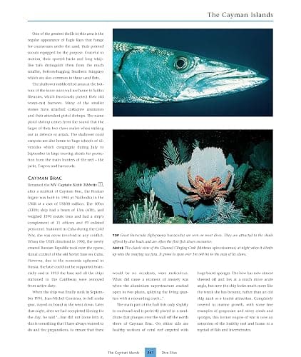Dive Atlas of the World: An Illustrated Reference to the Best Sites (IMM Lifestyle Books) A Global Tour of Wrecks, Walls, Caves, and Blue Holes from Lawson Reef to the Red Sea to the Great Barrier thumbnail 7