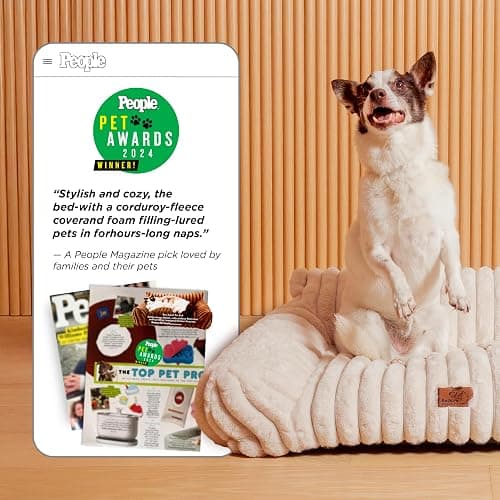 Bedsure ComfyFleece® Shown on TV Fluffy Cute Dog Couch for Pets,30in Cream | Small & Medium Dog Bed Washable Cover,Supportive Couch Bed for Small Dogs,Pet Sofa Seen on Good Day New York,Up to 20 Lbs thumbnail 2