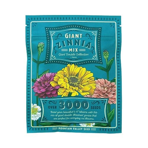 Mountain Valley Seed Co Zinnia Seeds for Planting Outdoors ~3000 California | Giant Mix Zinnia Seeds Beautiful 4' Tall Wildflower Blossoms Zinnia elegans Pollinator Seed Mix Bright, Cheerful Annual Flowe thumbnail 7