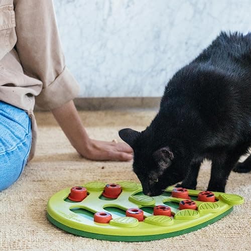 Puzzle for cats thumbnail 8