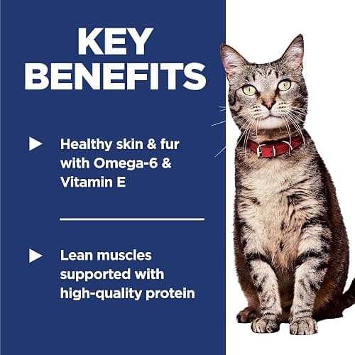 Hill's Science Diet Adult 1-6, Adult 1-6 Premium Nutrition, Dry Cat Food, Chicken Recipe, 7 lb Bag thumbnail 4