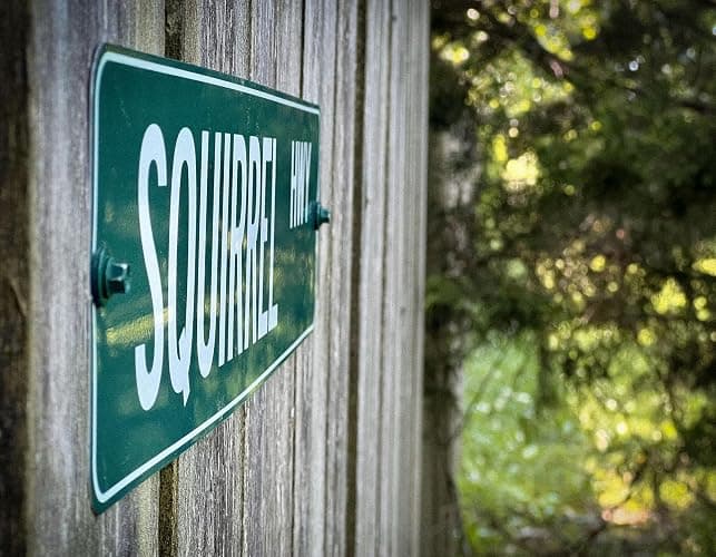 Customized Green Road Sign Personalized Novelty Street Sign thumbnail 4