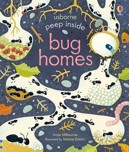 Peep Inside Bug Homes - Image 1