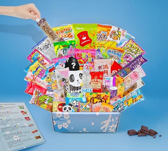 Sakura Box Japanese Snacks & Candy Dagashi Gift Box 50 Pieces English Booklet Surprise Gift thumbnail 5