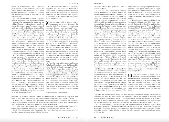 The Westminster Study Bible: New Revised Standard Version Updated Edition with the Deuterocanonical/Apocryphal Books thumbnail 3